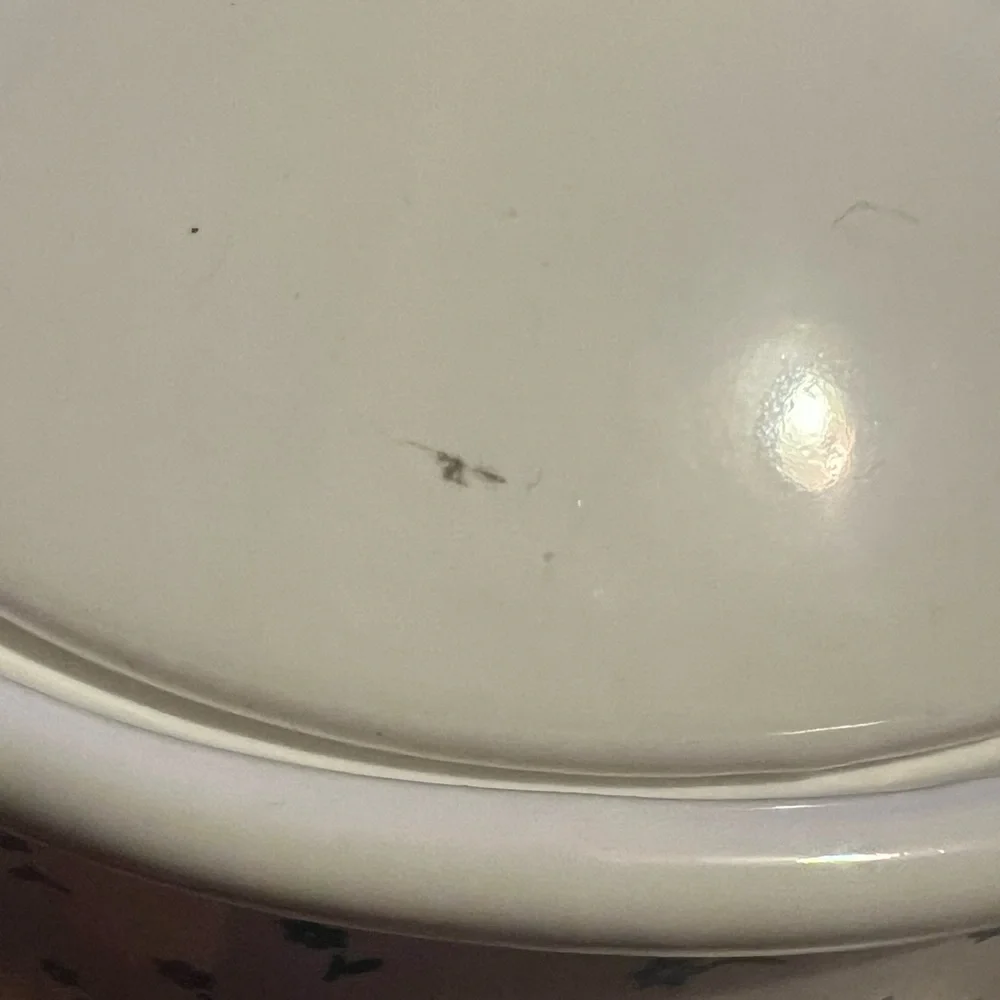 Vintage 1980s Blue Ribbon Country Geese Canister Set - Picture 5 of 11